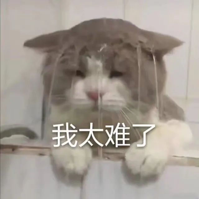 推荐信——被90%的学生忽略的重要申研利器！内附推荐信模板