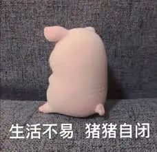 必看干货|在加拿大，毕业后月薪4000刀，是什么水平？